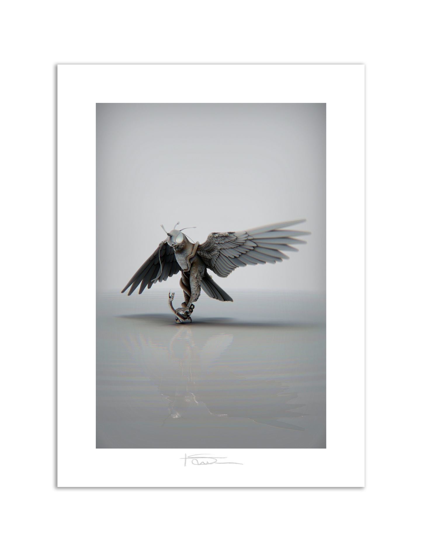 The Falcon Carbon 22" x 16"